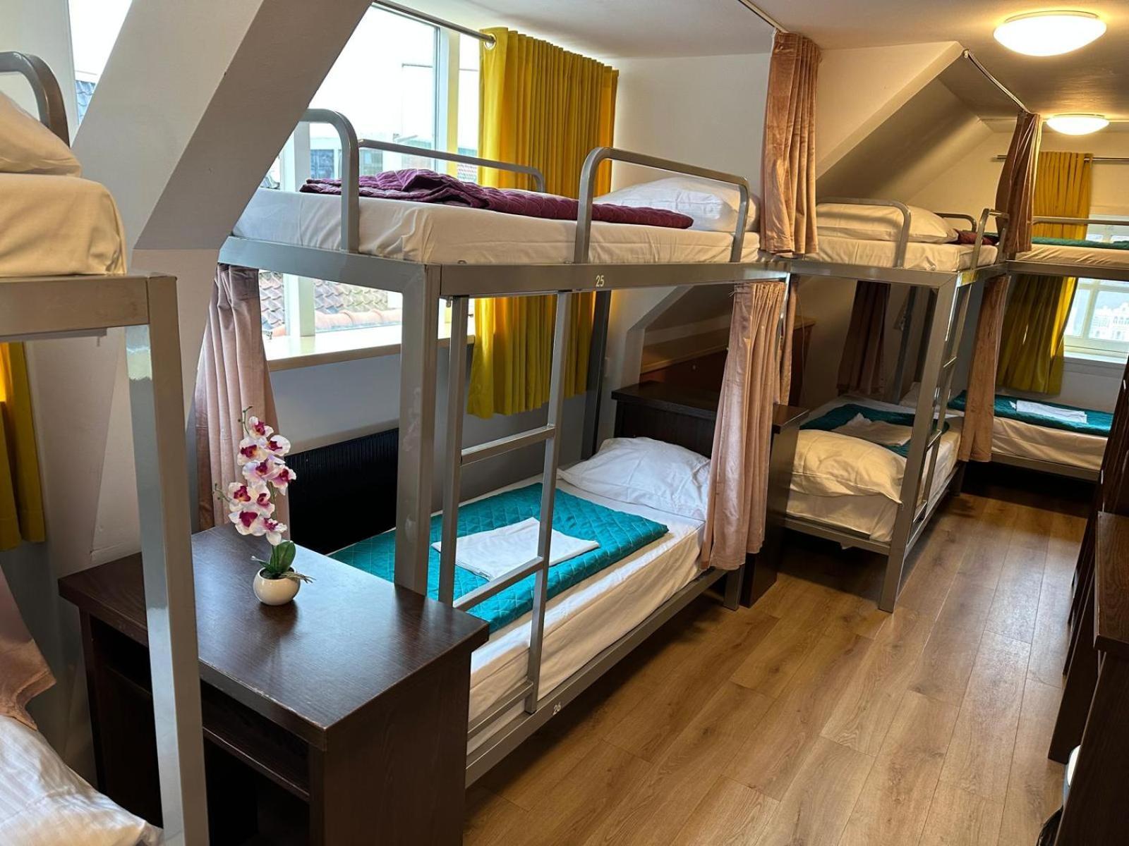 Room Mate Hostel Amsterdam Zaandam Exteriör bild